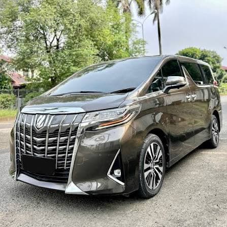All New Alphard — photo 3